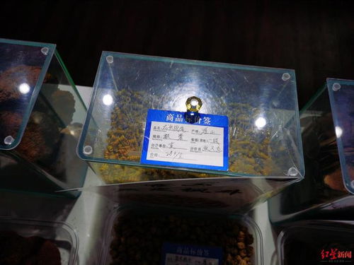 服務(wù)區(qū)高價(jià)鹿茸鹿鞭引爭議，高速公司表態(tài)嚴(yán)查整改